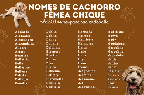 significado do nome chanel para cachorro|Nomes para cachorra fêmea: 620 opções de nomes para sua .